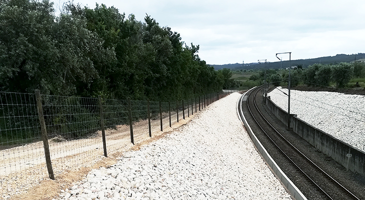 Estabilizado Talude no Ramal de Alfarelos Infraestruturas de Portugal