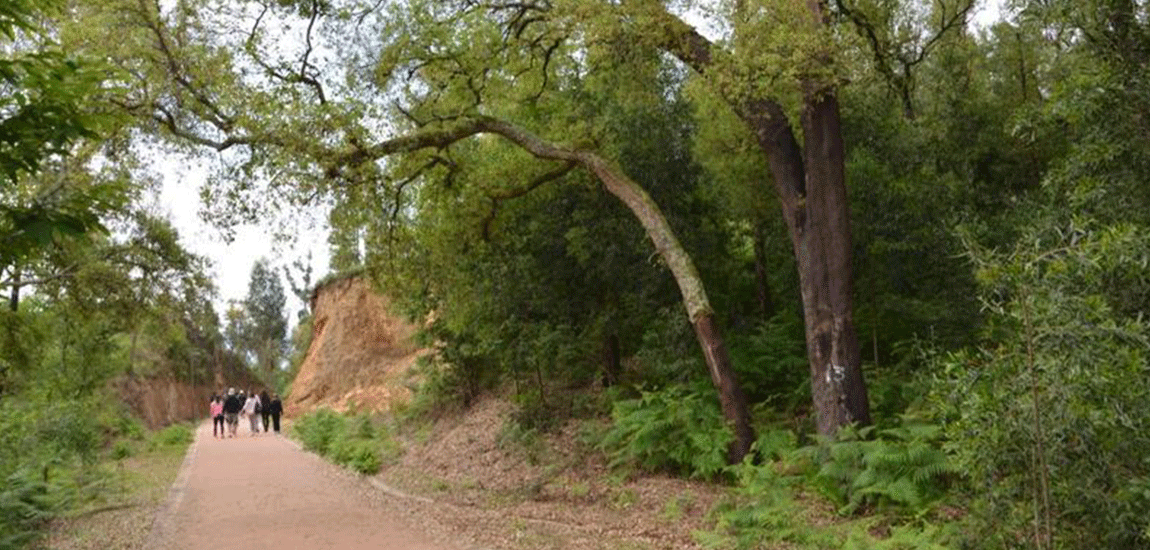 Ecopista do Tâmega