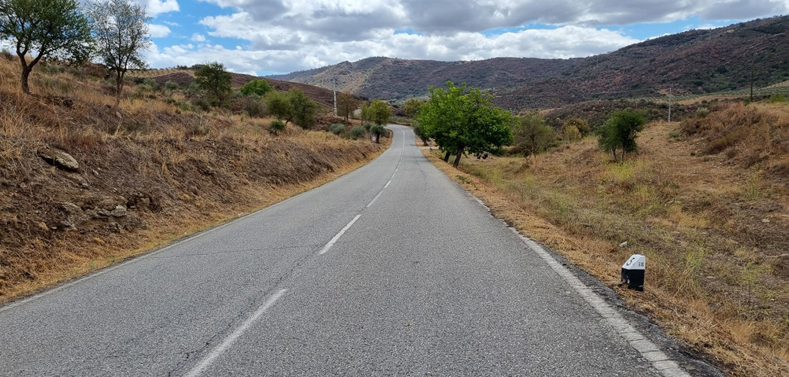 Início da requalificação da ER315 entre Mirandela e Bornes, em Bragança