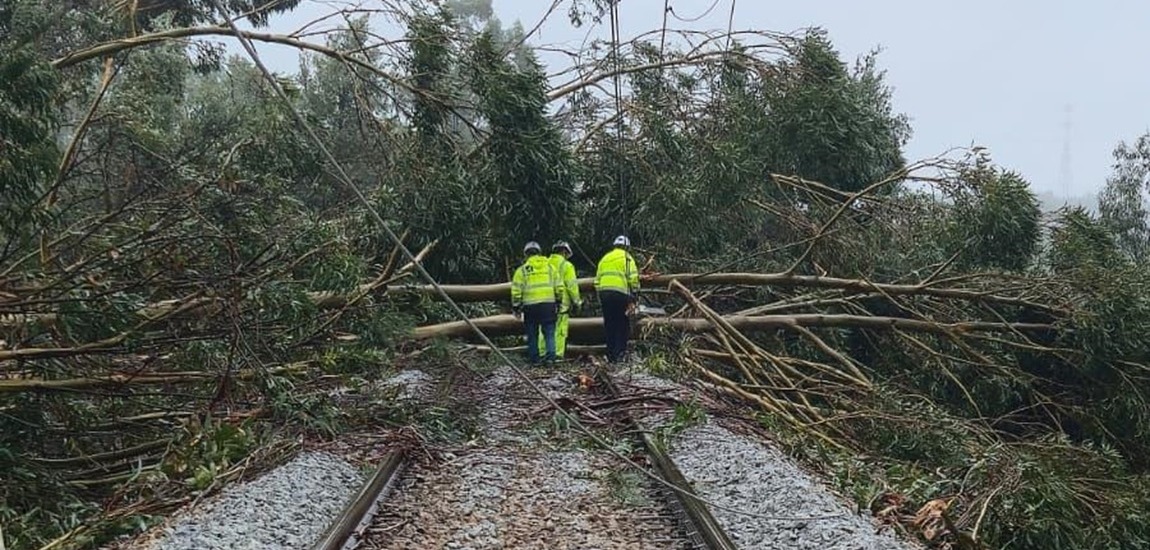 Infraestruturas de Portugal: a força de quem está no terreno em dias de tempestade