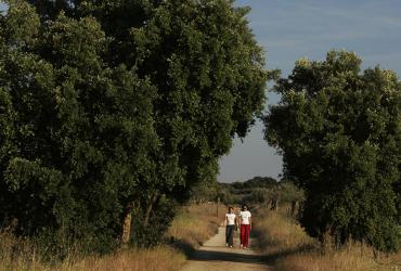 Ecopista de Mora