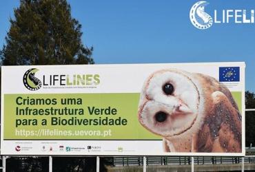 Outdoor do Projeto na EN4