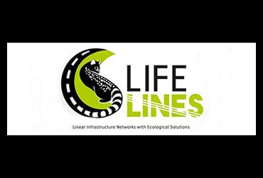 LIFE LINES