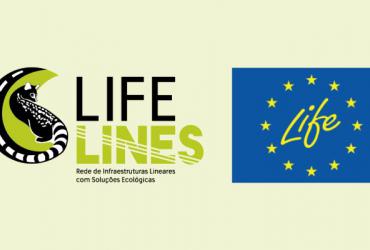 IP Participa na Reunião Sobre "Ecological Connectivity”