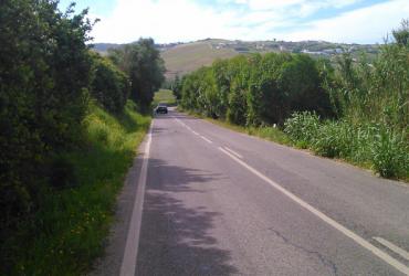 Concurso para Elaboração do Projeto de Reabilitação da EN8