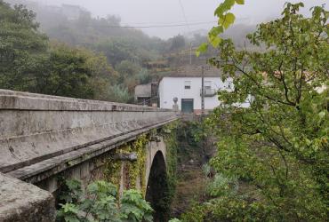 Reabilitação da Ponte de Carrapatelo