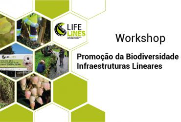 Workshop "Promoção da Biodiversidade em Infraestruturas Lineares"
