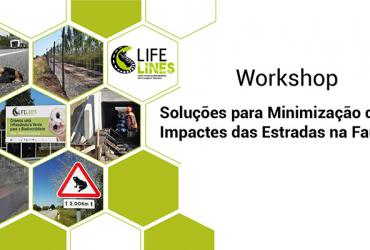 Workshop "Soluções para Minimização de Impactes das Estradas na Fauna"