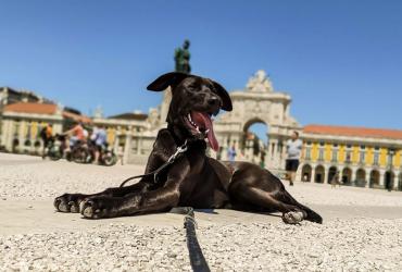 Tu e eu juntos mudamos o mundo