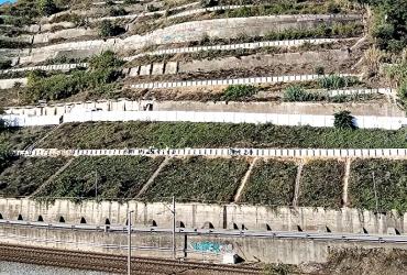 Encosta das Portas do Sol - Linha do Norte