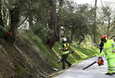Gestão de Vegetação da Rede Rodoviária Nacional