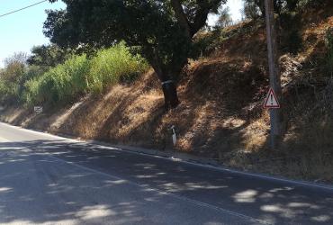 Estabilização de Taludes em Rodovias no Distrito de Santarém.