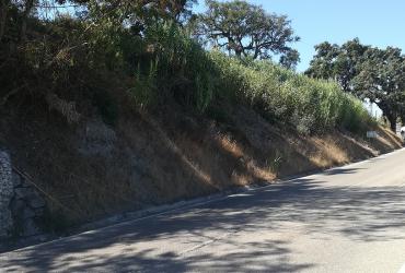 Estabilização de Taludes em Rodovias no Distrito de Santarém.