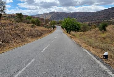 Início da requalificação da ER315 entre Mirandela e Bornes, em Bragança