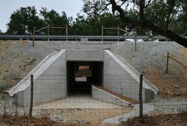 Concluída substituição da Obra de Arte em Montemor-o-Novo.