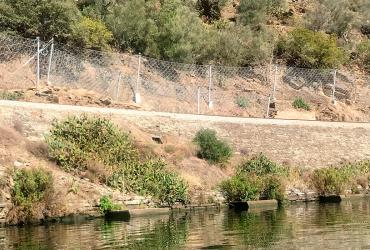 Renovação de barreiras dinâmicas de proteção a taludes na Linha do Douro 