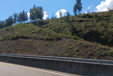 Talude Km 116 IC8 V. Poente 