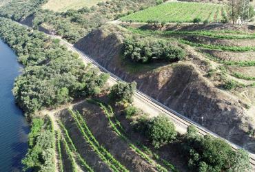 Talude 2 da Linha do Douro