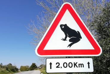 Relatório de Monitorização da Mortalidade de Fauna 2022