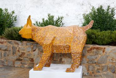 Aldeias do Lince - Pereiro