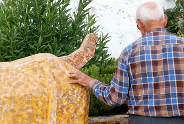 Lince em na aldeia de Pereiro