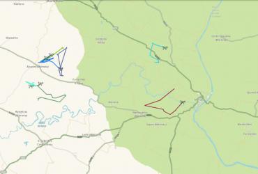 IP, WAZE e ICNF juntos pela preservação do Lince-Ibérico: fotografia 4
