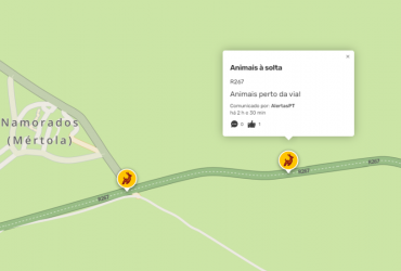 IP, WAZE e ICNF juntos pela preservação do Lince-Ibérico: fotografia 4