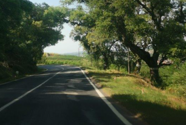 Estado atual da EN366: fotografia 2