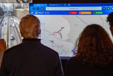 IP, WAZE e ICNF juntos pela preservação do Lince-Ibérico: fotografia 3