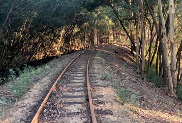 Reabilitação da superestrutura de via na Linha do Vouga: fotografia 1