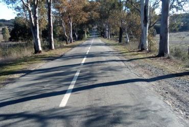 Pavimento a ser intervencionado na ER267 em Almodôvar: fotografia 1