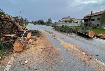 Imagem - Condicionamento rede rodoviária