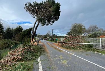Imagem - Condicionamento rede rodoviária