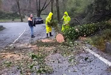 Imagem - Equipa IP a trabalhar para repor condições de circulação em estrada