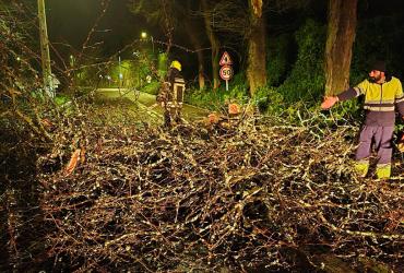 Imagem - Equipa IP a trabalhar para repor condições de circulação em estrada