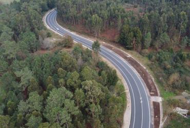 Imagem - Requalificação da EN101