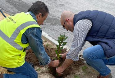 Imagem - Dia Mundial da Terra