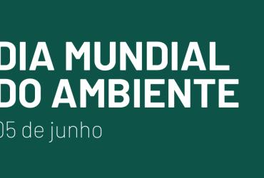 Imagem Dia Mundial do Ambiente 2025