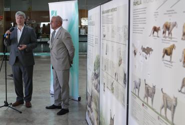 Imagem do Presidente da IP e Presidente da CIMBAL na inauguração da Exposição na Estação ferroviária do Rossio sobre a preservação do lince-ibérico