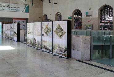 Exposição na Estação do Rossio “O Lince na Península: Conectar Territórios e Consolidar Populações”