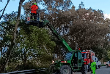 Imagem - IP campanha Bombeiros Almeirim