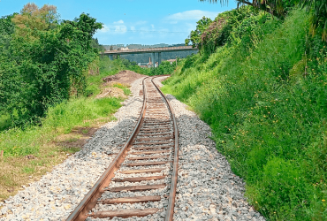 Imagem - Linha do Vouga