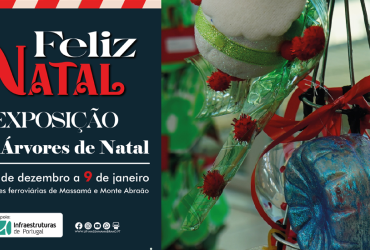 Exposição "Eco Árvores de Natal"