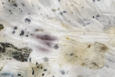 Exposição coletiva "Uma nova poesia visual"