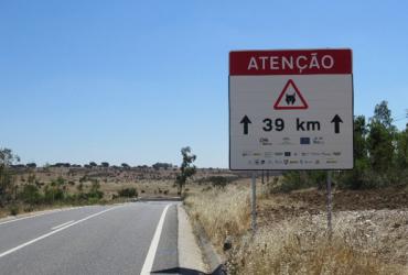 Reforço de sinalização para evitar atropelamentos de  lince-ibérico