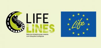 IP Participa na Reunião Sobre "Ecological Connectivity”