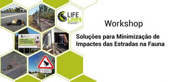Workshop "Soluções para Minimização de Impactes das Estradas na Fauna"