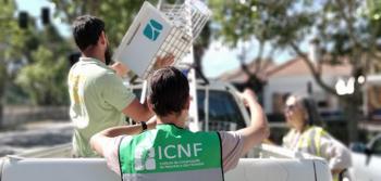 IP entrega ao ICNF caixas-ninho para Francelho/Peneireiro-das-Torres