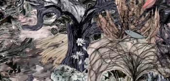 Exposição "I'll See You in the Trees" 1